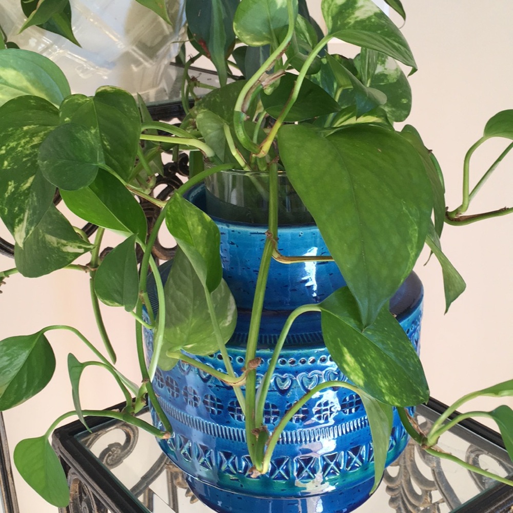 Meet your Posher, Madhu